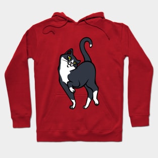 Begging for pettings--Tuxedo Cat Style Hoodie